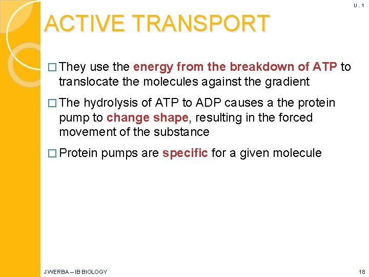 U. 1 ACTIVE TRANSPORT � They use the energy from the breakdown of ATP