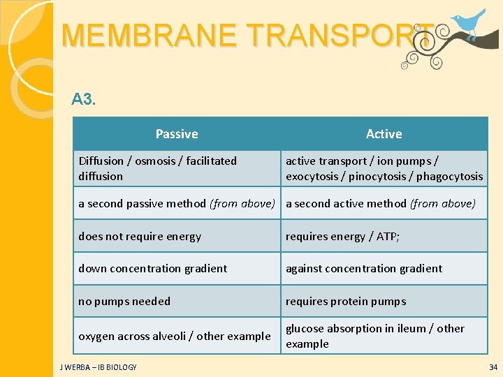 MEMBRANE TRANSPORT A 3. Passive Diffusion / osmosis / facilitated diffusion Active active transport