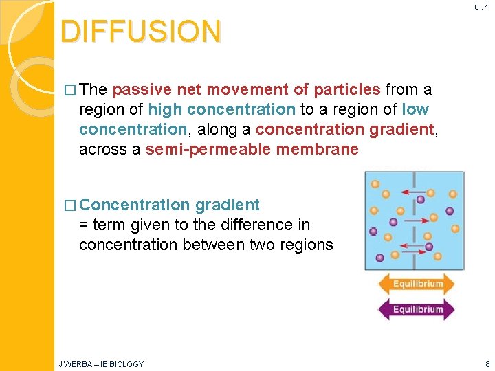 U. 1 DIFFUSION � The passive net movement of particles from a region of