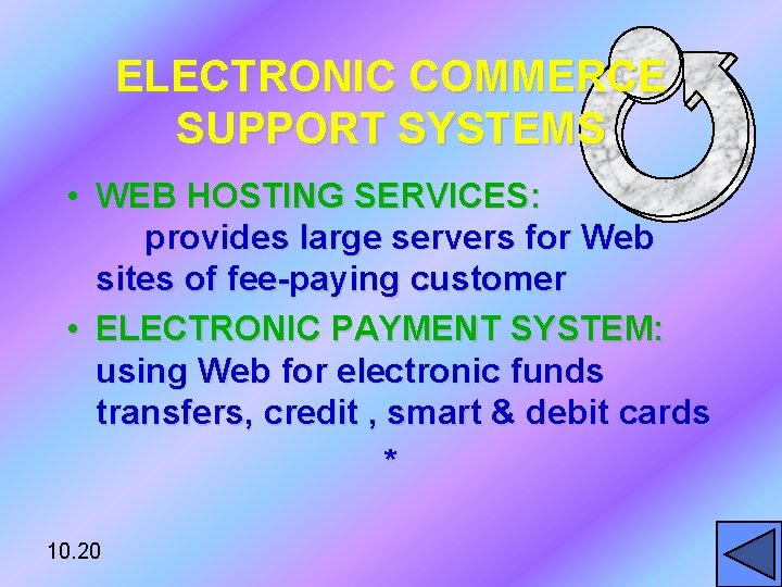 ELECTRONIC COMMERCE SUPPORT SYSTEMS • WEB HOSTING SERVICES: provides large servers for Web sites