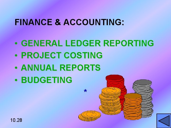 FINANCE & ACCOUNTING: • • GENERAL LEDGER REPORTING PROJECT COSTING ANNUAL REPORTS BUDGETING *