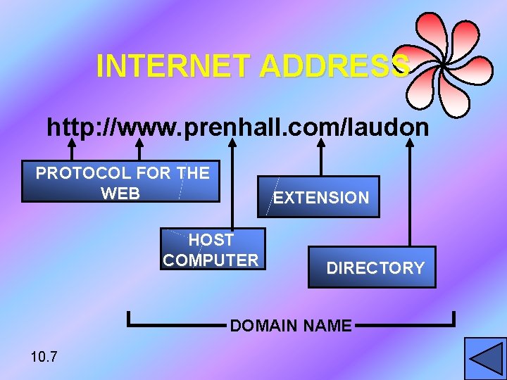 INTERNET ADDRESS http: //www. prenhall. com/laudon PROTOCOL FOR THE WEB EXTENSION HOST COMPUTER DIRECTORY