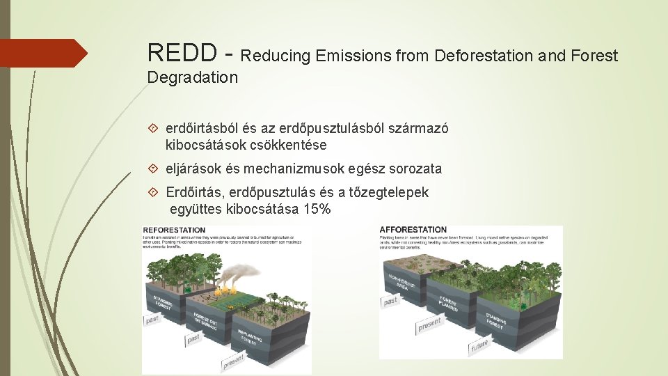 REDD - Reducing Emissions from Deforestation and Forest Degradation erdőirtásból és az erdőpusztulásból származó