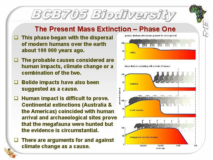 The Present Mass Extinction – Phase One q This phase began with the dispersal