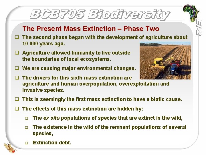 The Present Mass Extinction – Phase Two q The second phase began with the