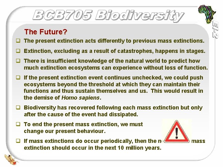 The Future? q The present extinction acts differently to previous mass extinctions. q Extinction,