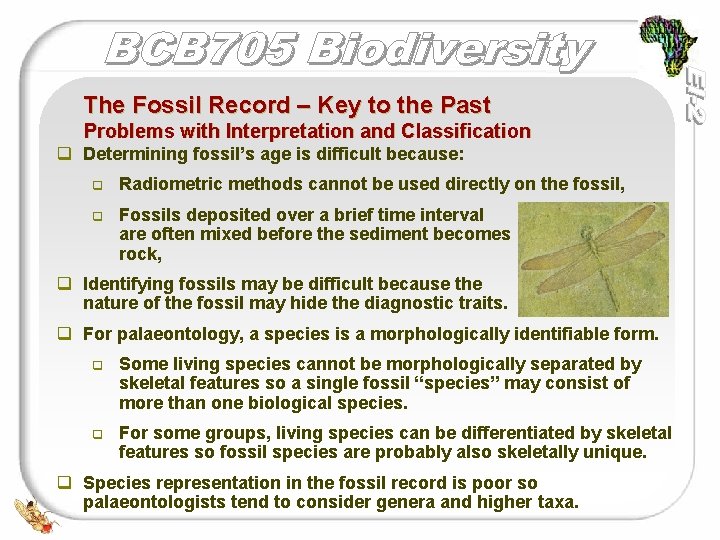 The Fossil Record – Key to the Past Problems with Interpretation and Classification q
