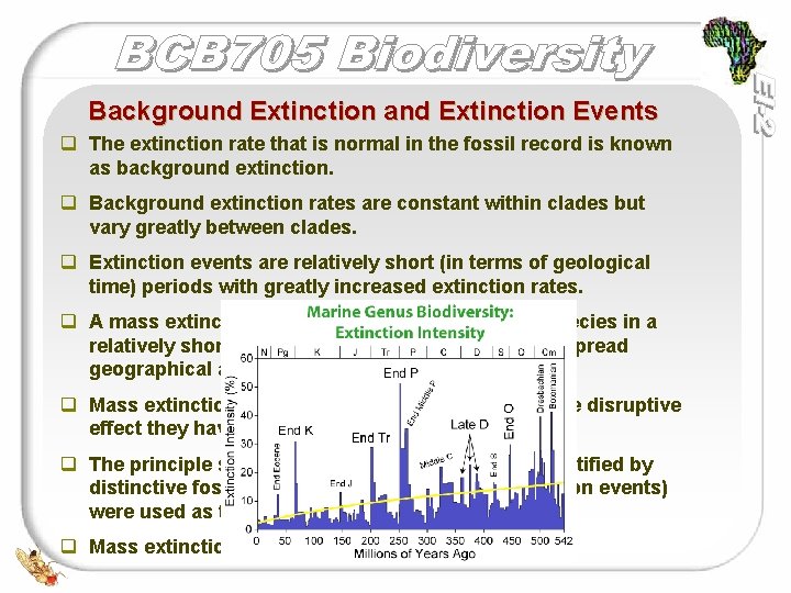 Background Extinction and Extinction Events q The extinction rate that is normal in the