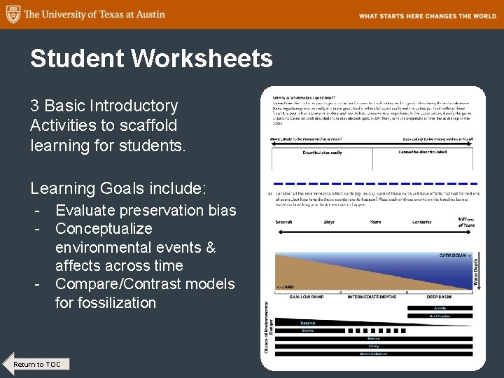 Student Worksheets 3 Basic Introductory Activities to scaffold learning for students. Learning Goals include: