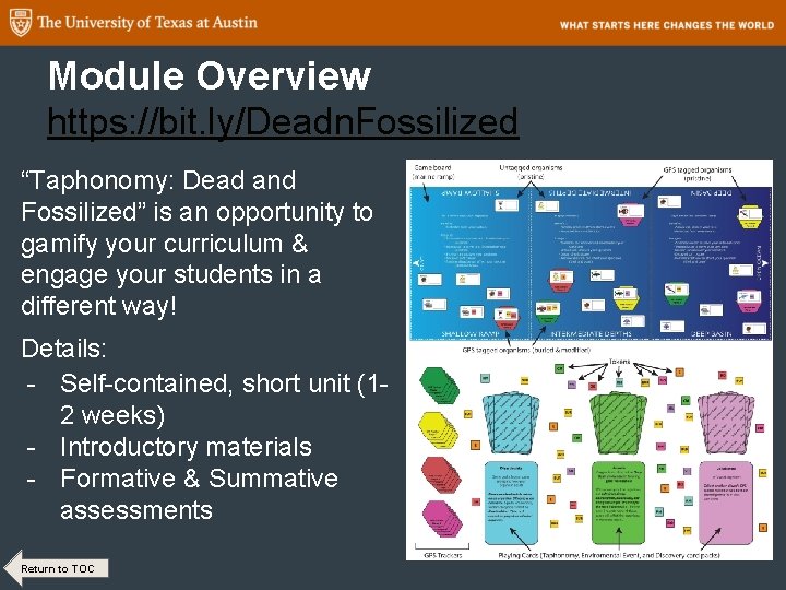 Module Overview https: //bit. ly/Deadn. Fossilized “Taphonomy: Dead and Fossilized” is an opportunity to