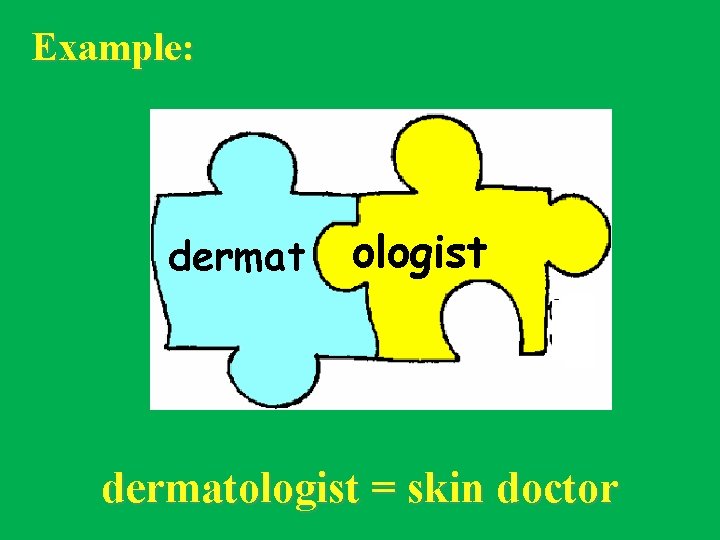 Example: dermat ologist dermatologist = skin doctor 