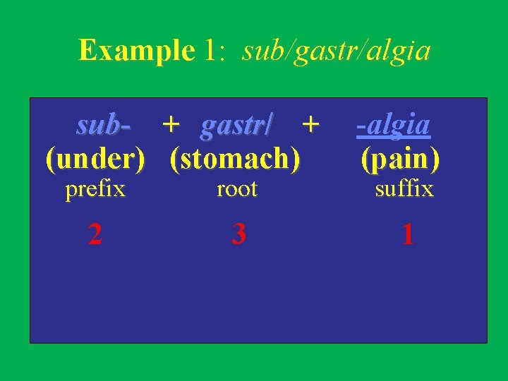 Example 1: sub/gastr/algia sub- + gastr/ + (under) (stomach) prefix root 2 3 -algia