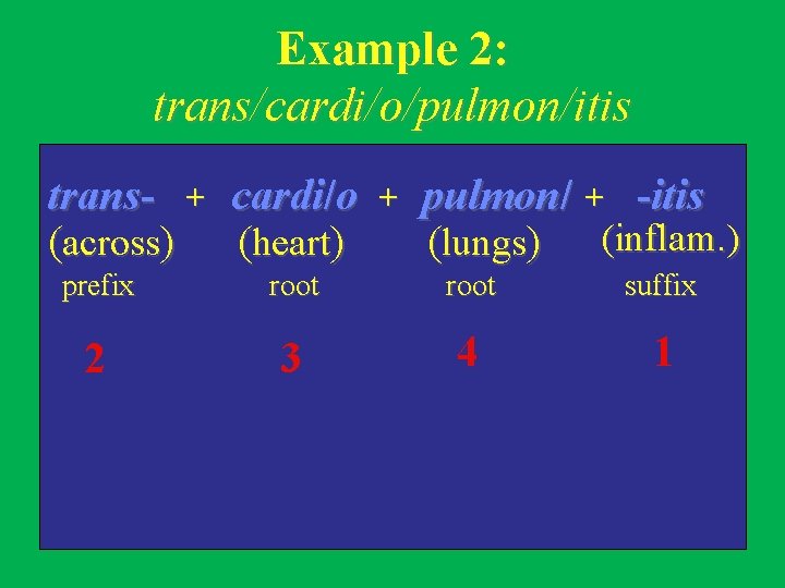 Example 2: trans/cardi/o/pulmon/itis trans- + cardi/o (across) (heart) + pulmon/ + -itis (lungs) (inflam.