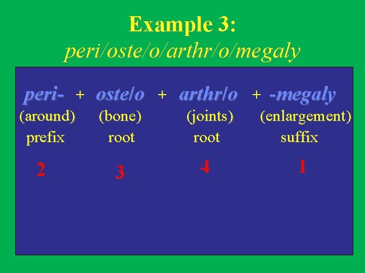 Example 3: peri/oste/o/arthr/o/megaly peri(around) prefix 2 + oste/o (bone) root 3 + arthr/o (joints)