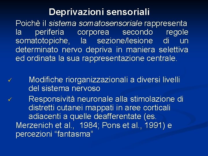 Deprivazioni sensoriali Poichè il sistema somatosensoriale rappresenta la periferia corporea secondo regole somatotopiche, la