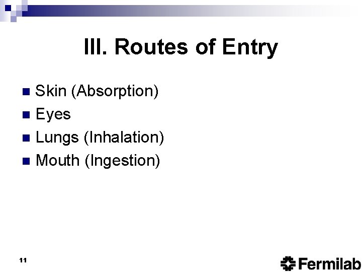III. Routes of Entry Skin (Absorption) n Eyes n Lungs (Inhalation) n Mouth (Ingestion)