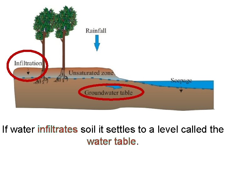 If water infiltrates soil it settles to a level called the water table. 