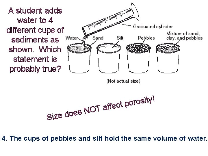 A student adds water to 4 different cups of sediments as shown. Which statement