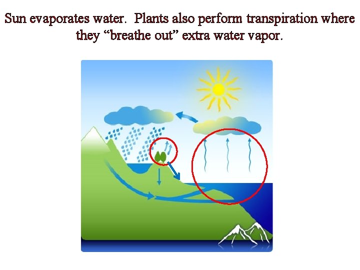 Sun evaporates water. Plants also perform transpiration where they “breathe out” extra water vapor.
