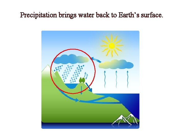Precipitation brings water back to Earth’s surface. 