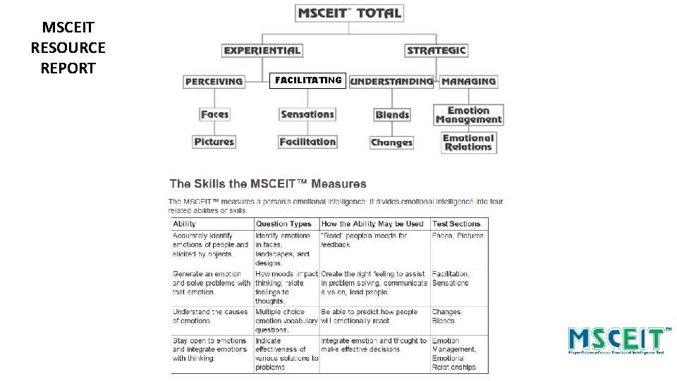 MSCEIT RESOURCE REPORT FACILITATING 