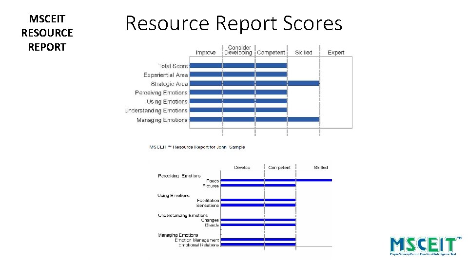 MSCEIT RESOURCE REPORT Resource Report Scores 