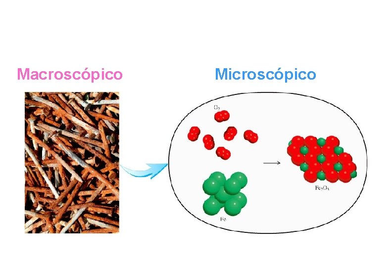 Macroscópico Microscópico 