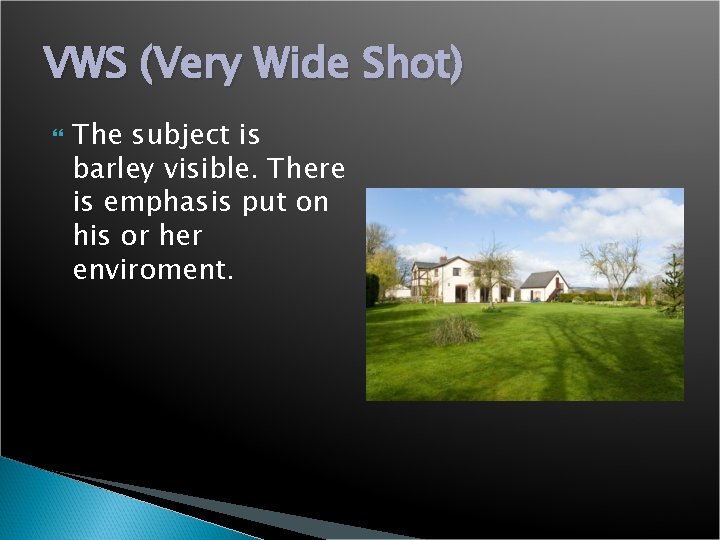 VWS (Very Wide Shot) The subject is barley visible. There is emphasis put on