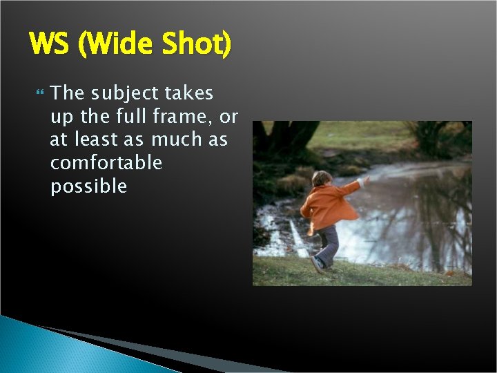 WS (Wide Shot) The subject takes up the full frame, or at least as