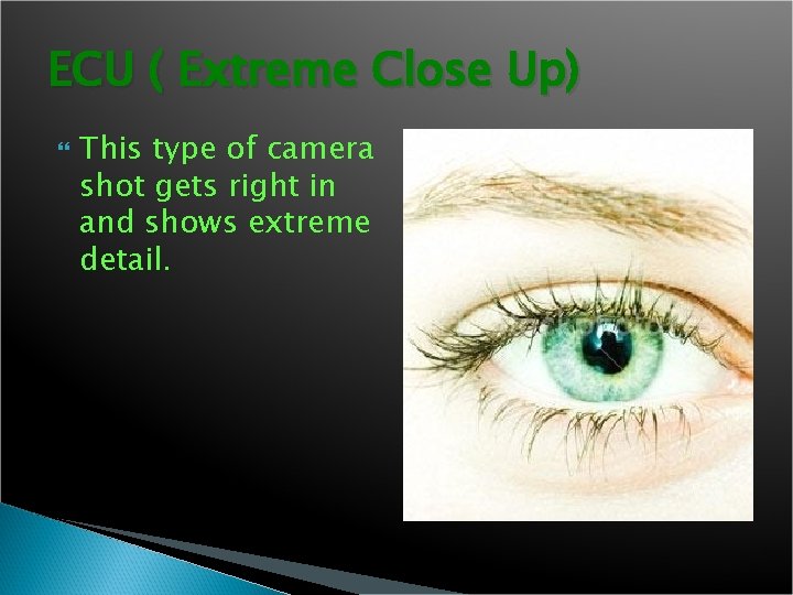 ECU ( Extreme Close Up) This type of camera shot gets right in and