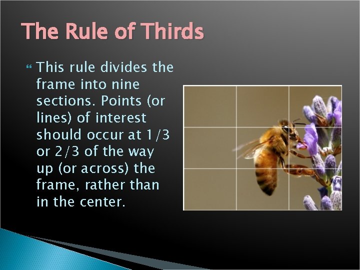 The Rule of Thirds This rule divides the frame into nine sections. Points (or