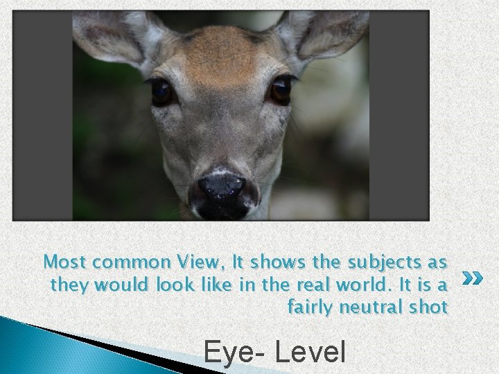 Most common View, It shows the subjects as they would look like in the