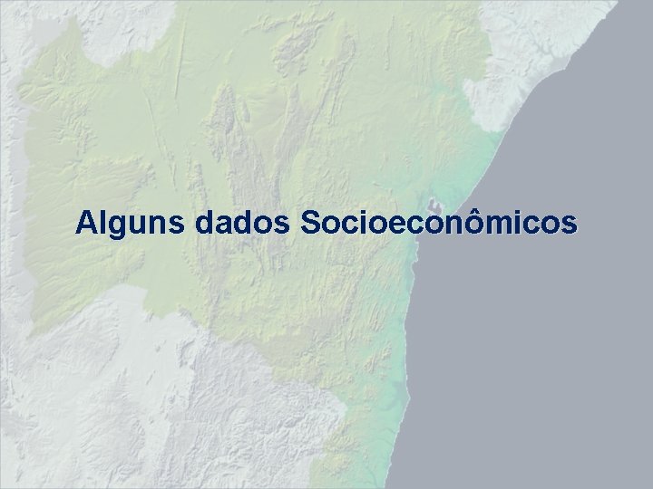 Alguns dados Socioeconômicos 