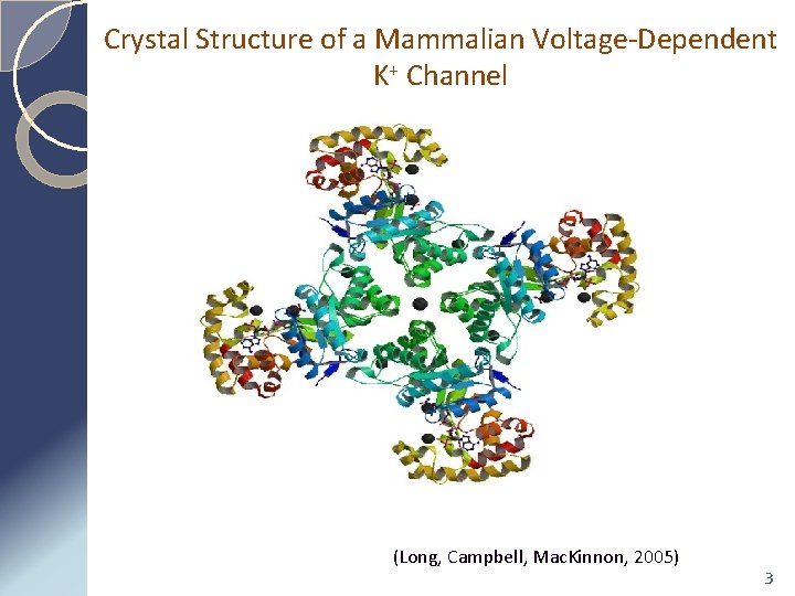 Crystal Structure of a Mammalian Voltage-Dependent K+ Channel (Long, Campbell, Mac. Kinnon, 2005) 3
