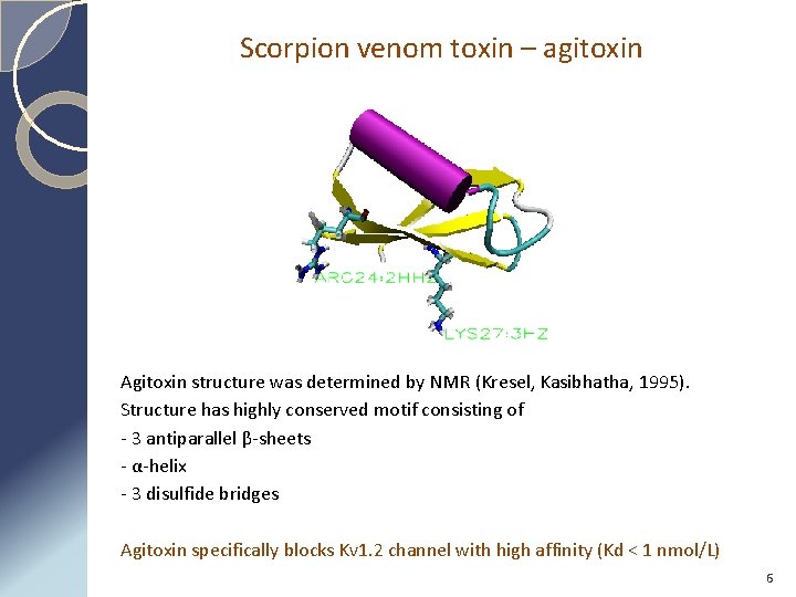 Scorpion venom toxin – agitoxin Agitoxin structure was determined by NMR (Kresel, Kasibhatha, 1995).