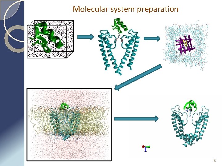 Molecular system preparation 8 