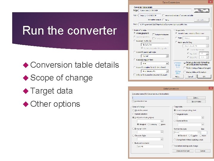 Run the converter Conversion table details Scope of change Target data Other options Run the converter Conversion table details Scope of change Target data Other options