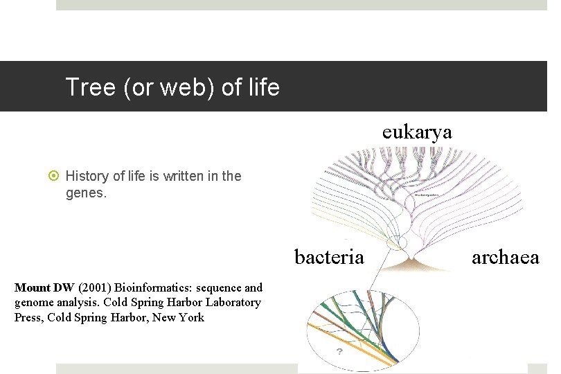 Tree (or web) of life eukarya History of life is written in the genes.