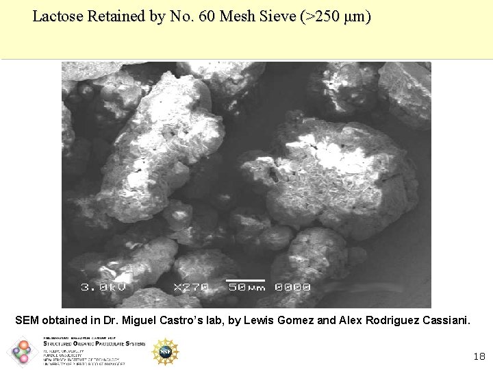Lactose Retained by No. 60 Mesh Sieve (>250 μm) SEM obtained in Dr. Miguel