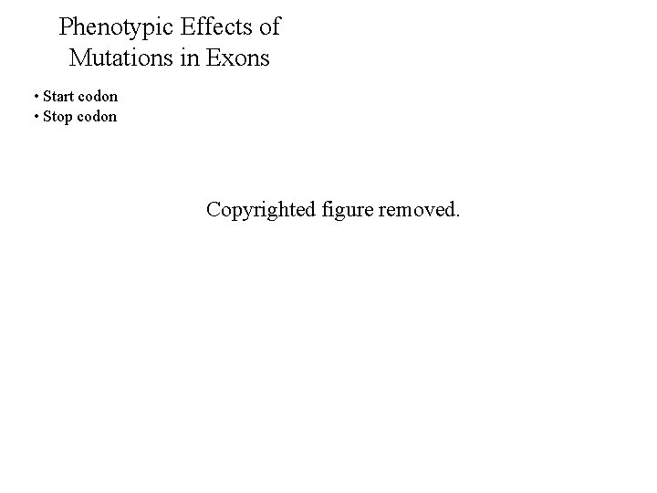 Phenotypic Effects of Mutations in Exons • Start codon • Stop codon Copyrighted figure