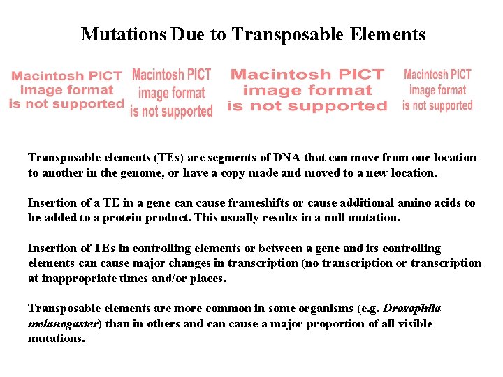 Mutations Due to Transposable Elements Transposable elements (TEs) are segments of DNA that can