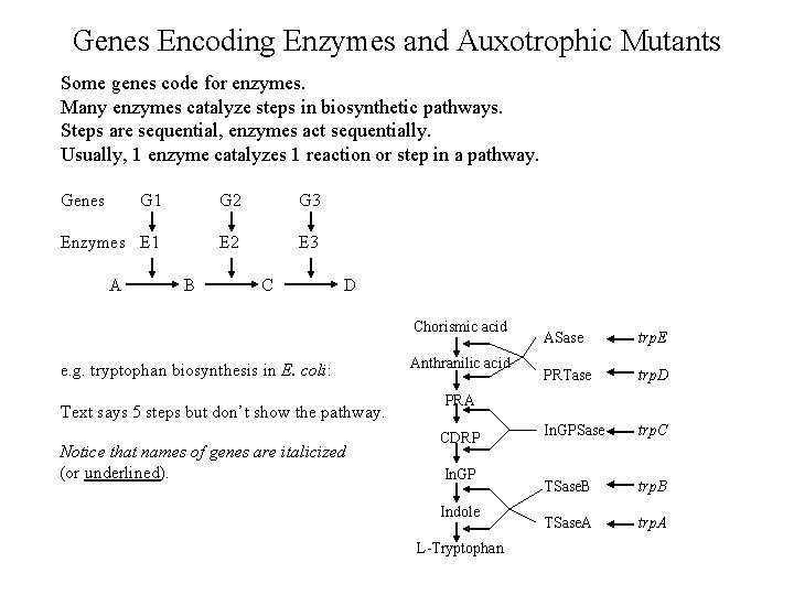 Genes Encoding Enzymes and Auxotrophic Mutants Some genes code for enzymes. Many enzymes catalyze