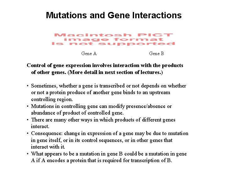 Mutations and Gene Interactions Gene A Gene B Control of gene expression involves interaction