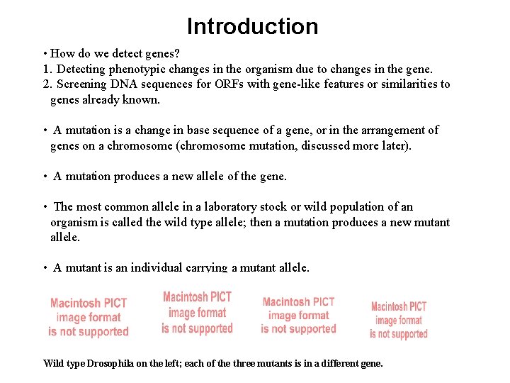 Introduction • How do we detect genes? 1. Detecting phenotypic changes in the organism