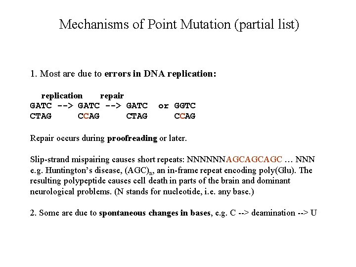 Mechanisms of Point Mutation (partial list) 1. Most are due to errors in DNA