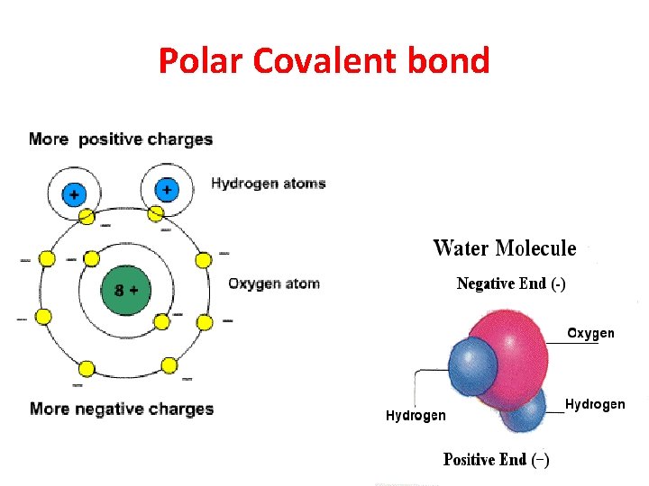 Polar Covalent bond 