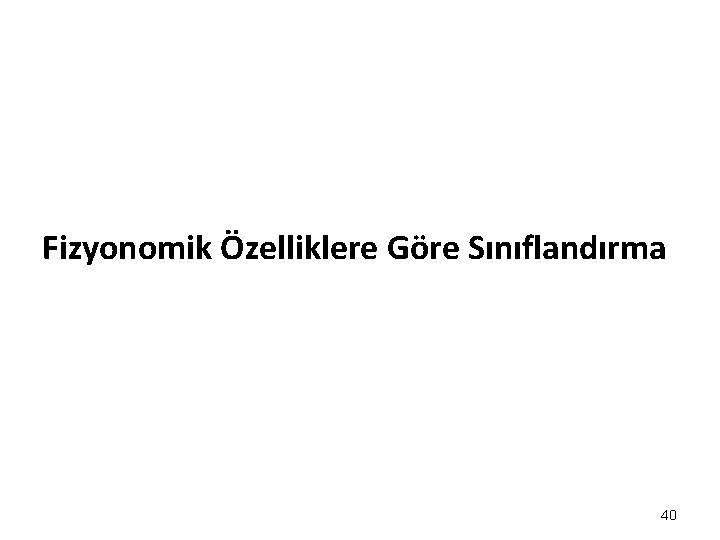 Fizyonomik Özelliklere Göre Sınıflandırma 40 Fizyonomik Özelliklere Göre Sınıflandırma 40