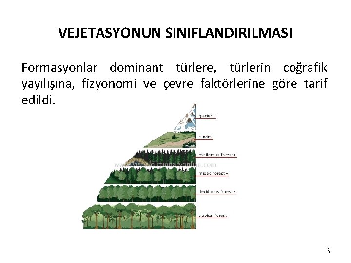 VEJETASYONUN SINIFLANDIRILMASI Formasyonlar dominant türlere, türlerin coğrafik yayılışına, fizyonomi ve çevre faktörlerine göre tarif VEJETASYONUN SINIFLANDIRILMASI Formasyonlar dominant türlere, türlerin coğrafik yayılışına, fizyonomi ve çevre faktörlerine göre tarif