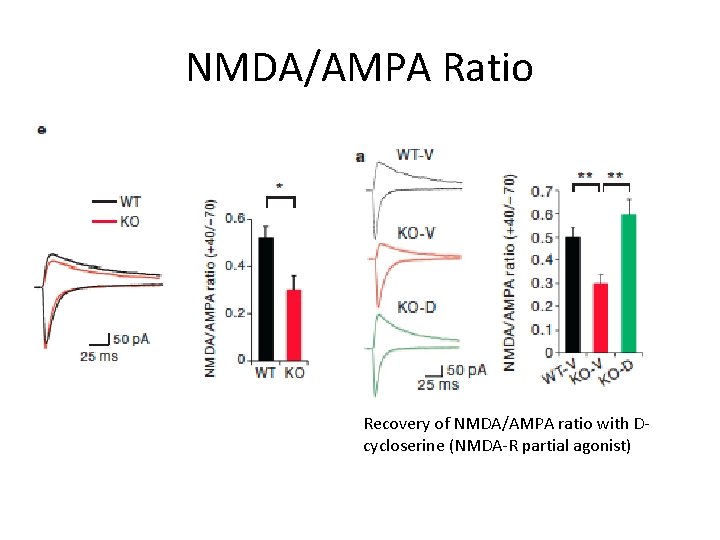 NMDA/AMPA Ratio Recovery of NMDA/AMPA ratio with Dcycloserine (NMDA-R partial agonist) 