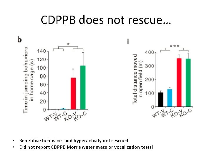 CDPPB does not rescue… • Repetitive behaviors and hyperactivity not rescued • Did not